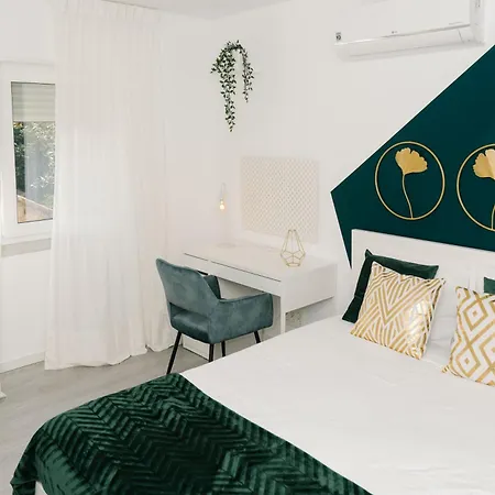 Alegria 79 - Fabulous 3 Bedroom House 科英布拉